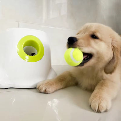  Ball Launching Dog Toy 